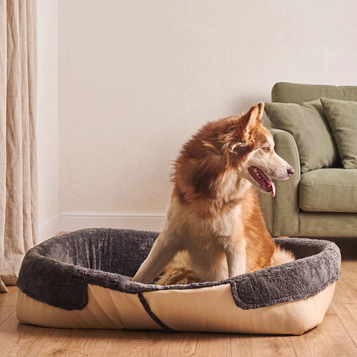 Baw Pet Bed