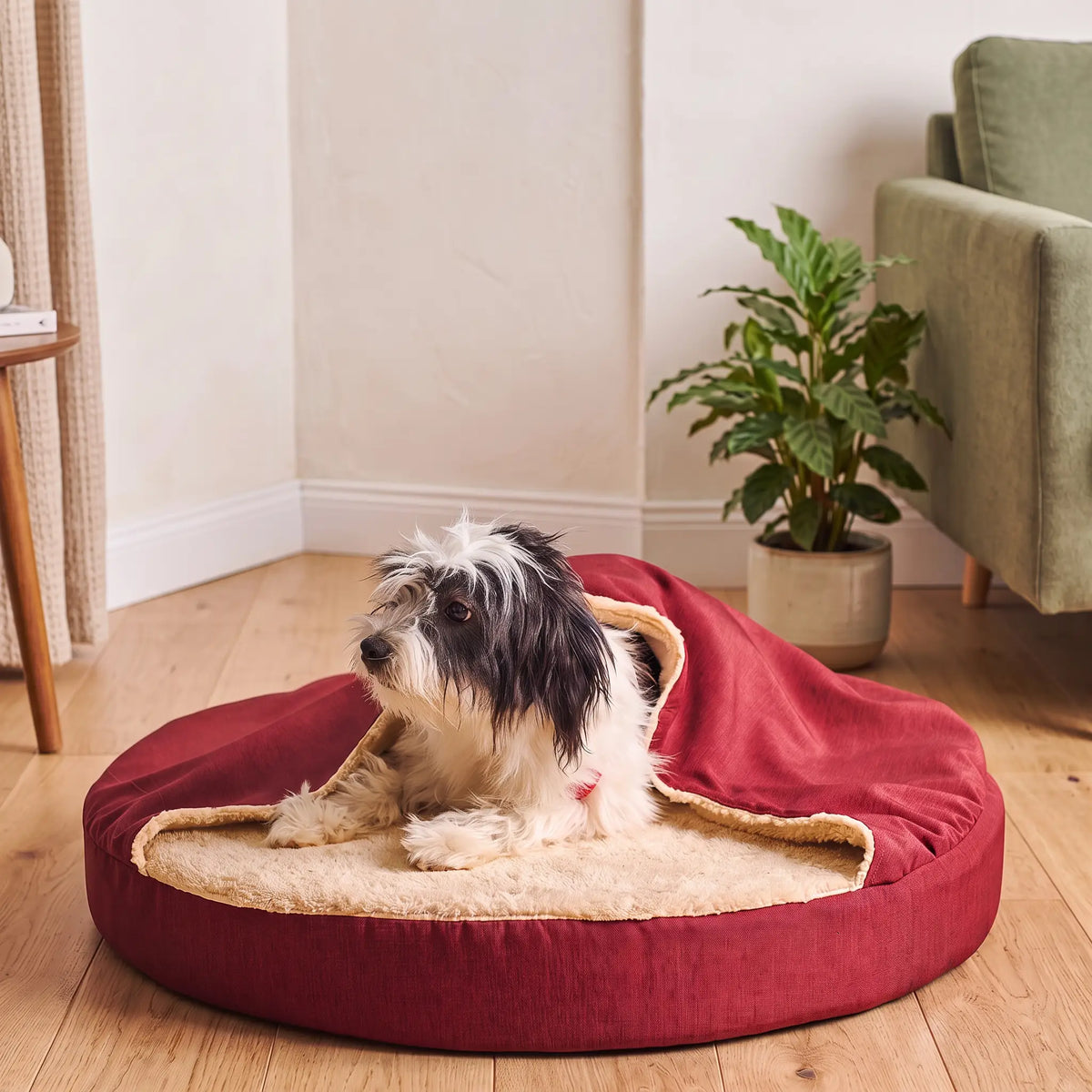 Pet Cave